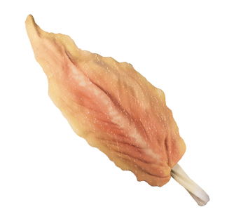 Piruleta Pollo - item_4