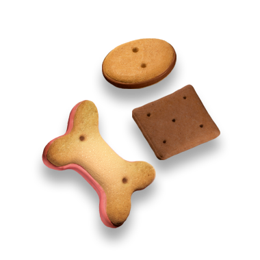 Galletas Gourmet