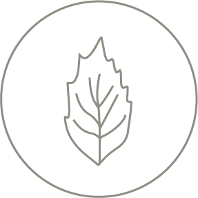 Hierbas