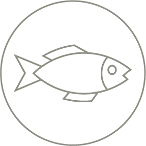 Salmón fresco
