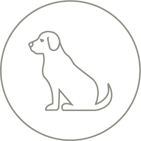 Perros pequeños
