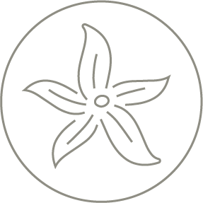 Vainilla