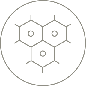 Vitamina E