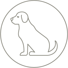 Perros adultos