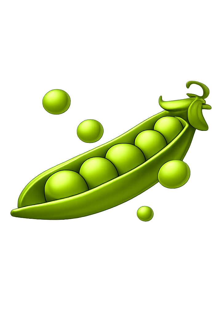 BARF - item_1
